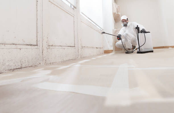 24/7 Emergency Basement Mold Removal experts in Belmont, NC