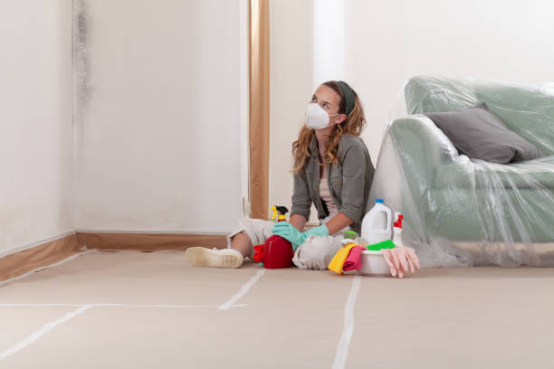 Reliable Basement Mold Removal contractor in Belmont, NC by WQB Mold Removal